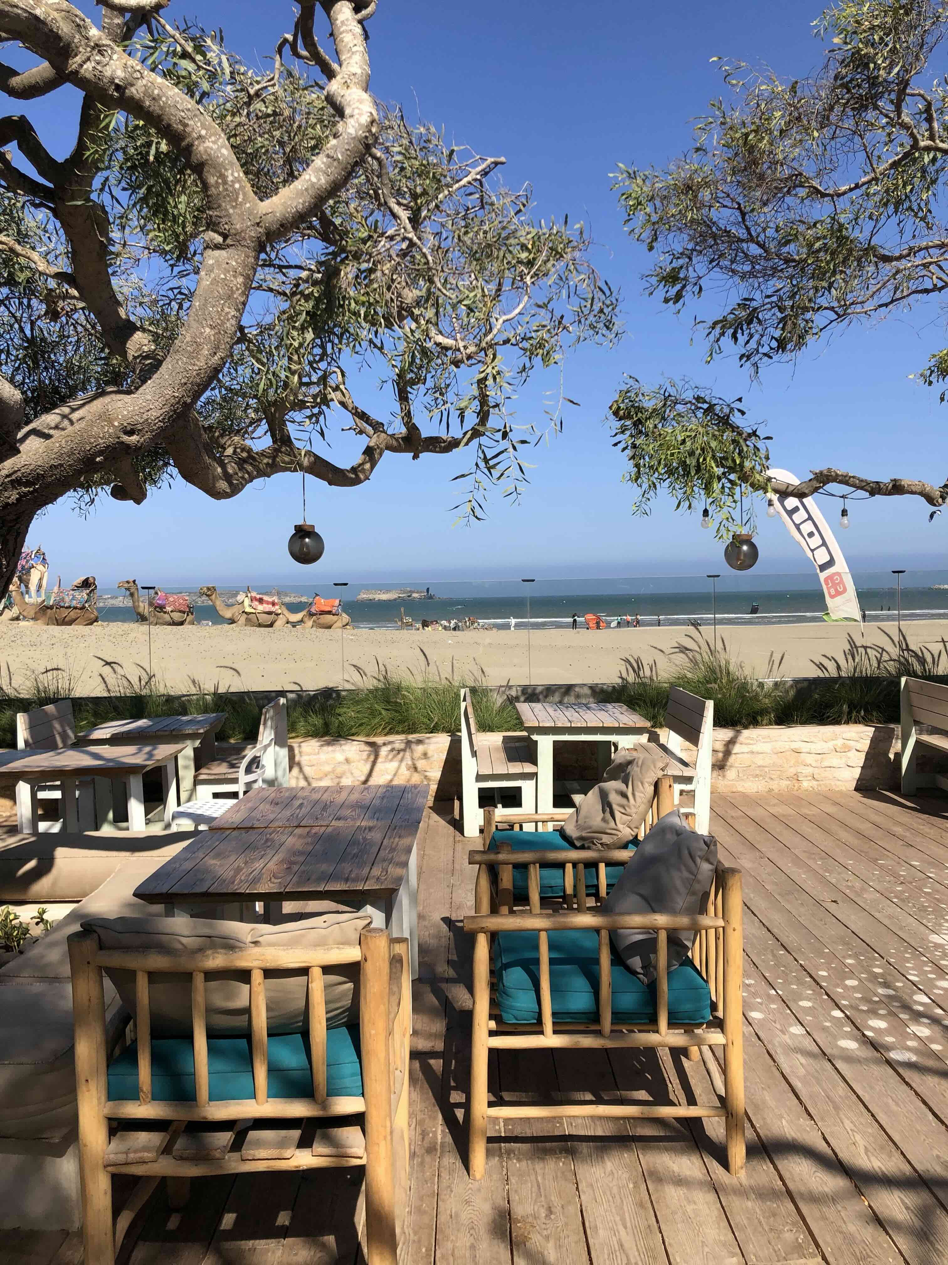 Essaouira - Ocean Vagabond