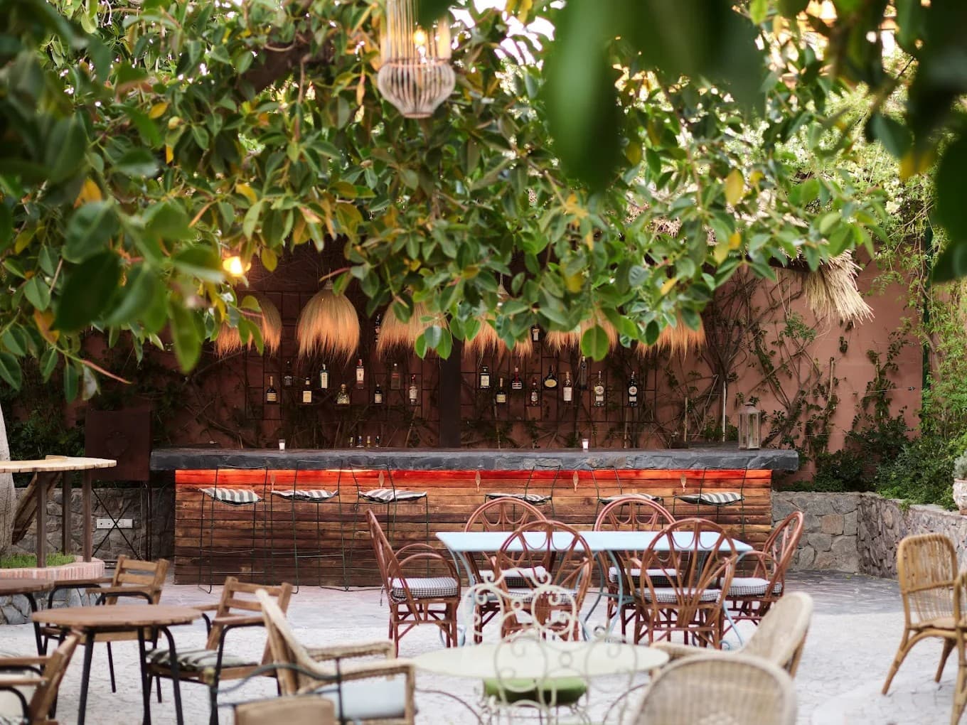 Where to Have Lunch in Gueliz: 5 Restaurants in Marrakech Worth Knowing